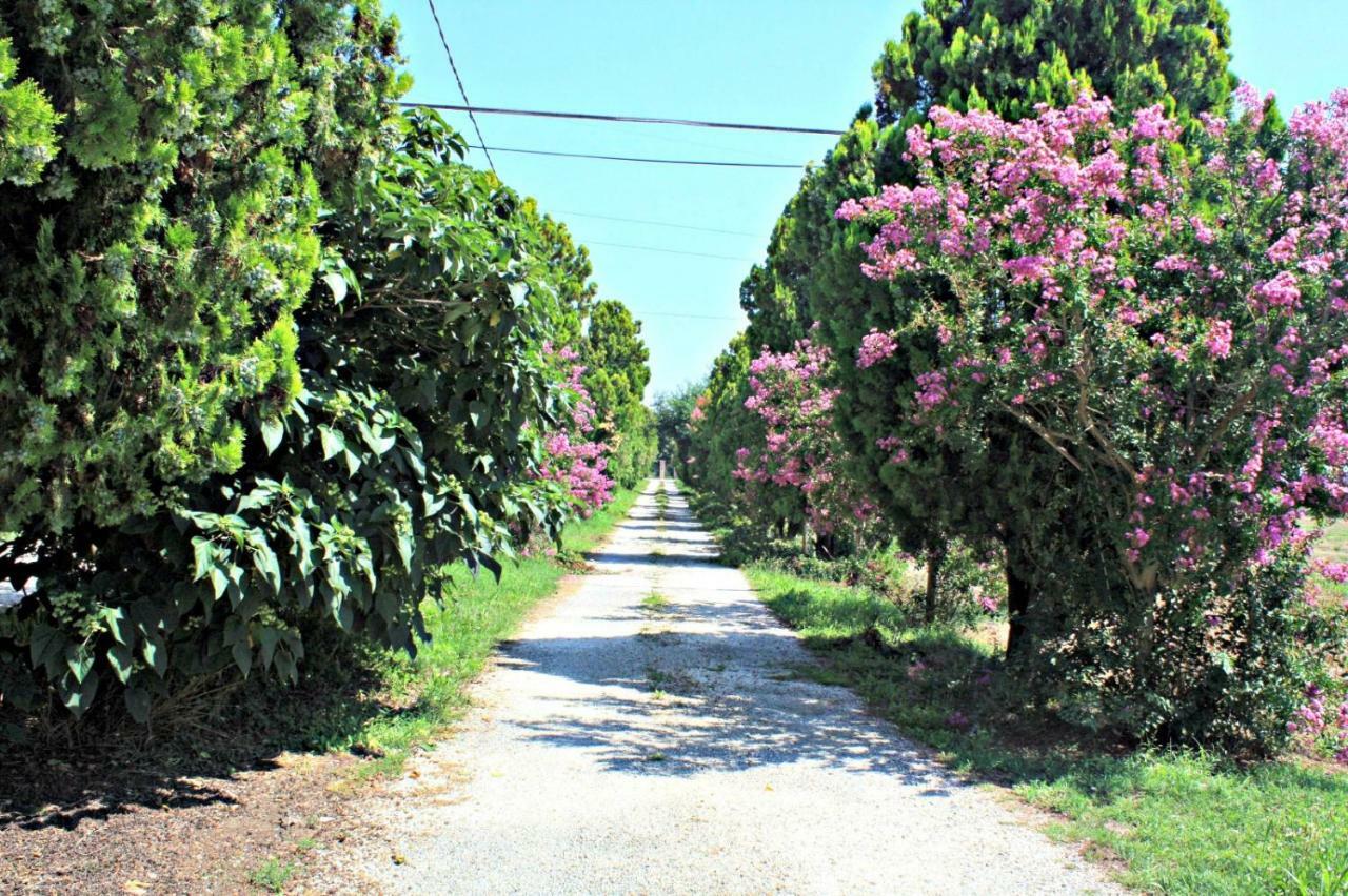 B&B Villa Paolida, Aceto Balsamico & Acetaia Antica Nonantola Luaran gambar